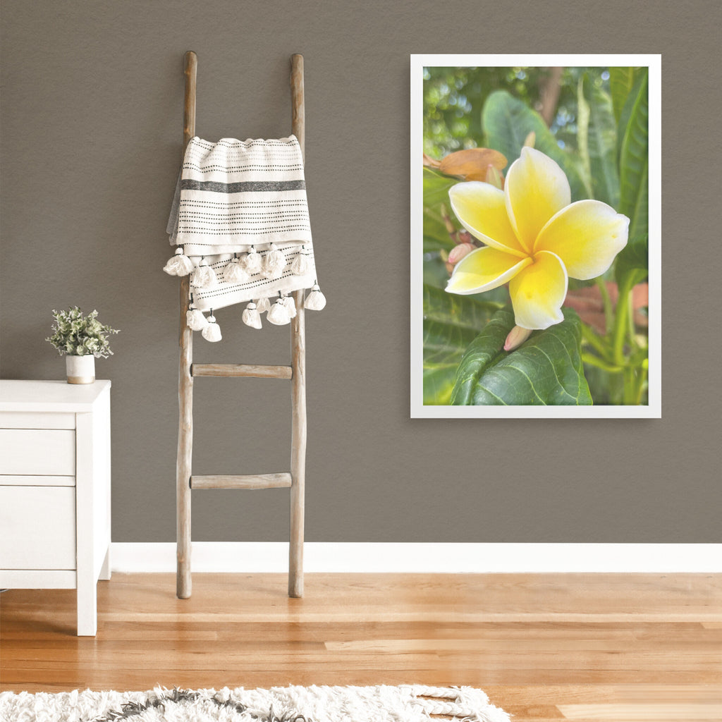 LaGrand Botanical 2