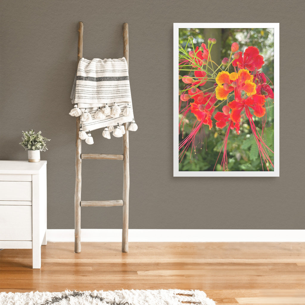 LaGrand Botanical 3