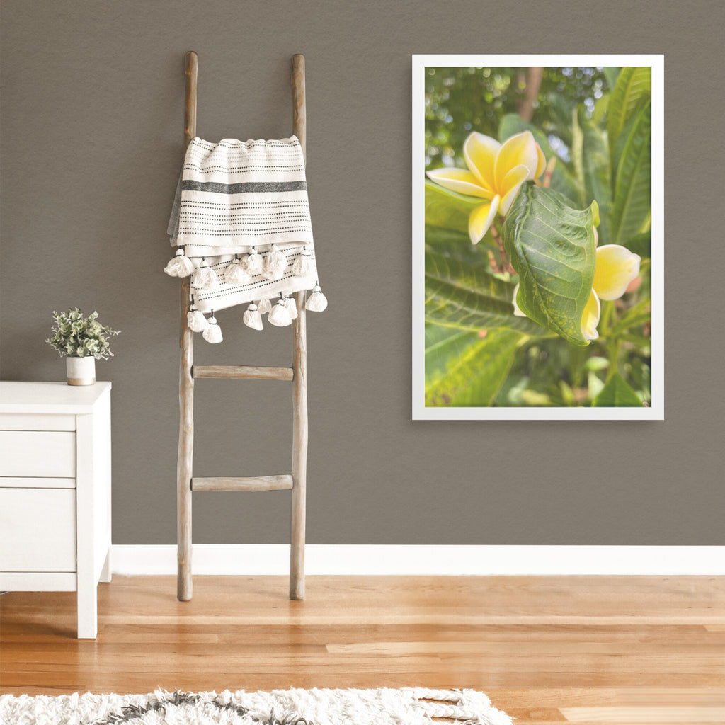 LaGrand Botanical 8